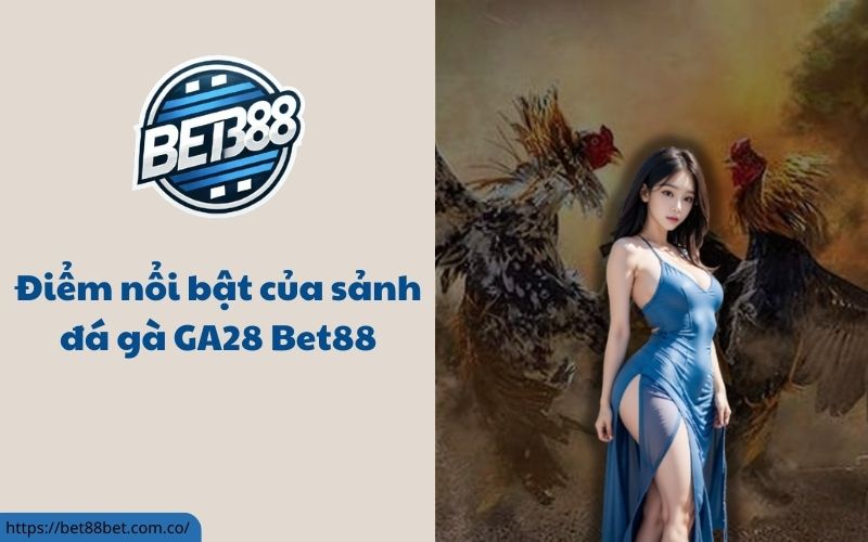 Sảnh đá gà ODIN GAMECOCK Bet88